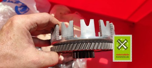 IMG_20230827_150751
